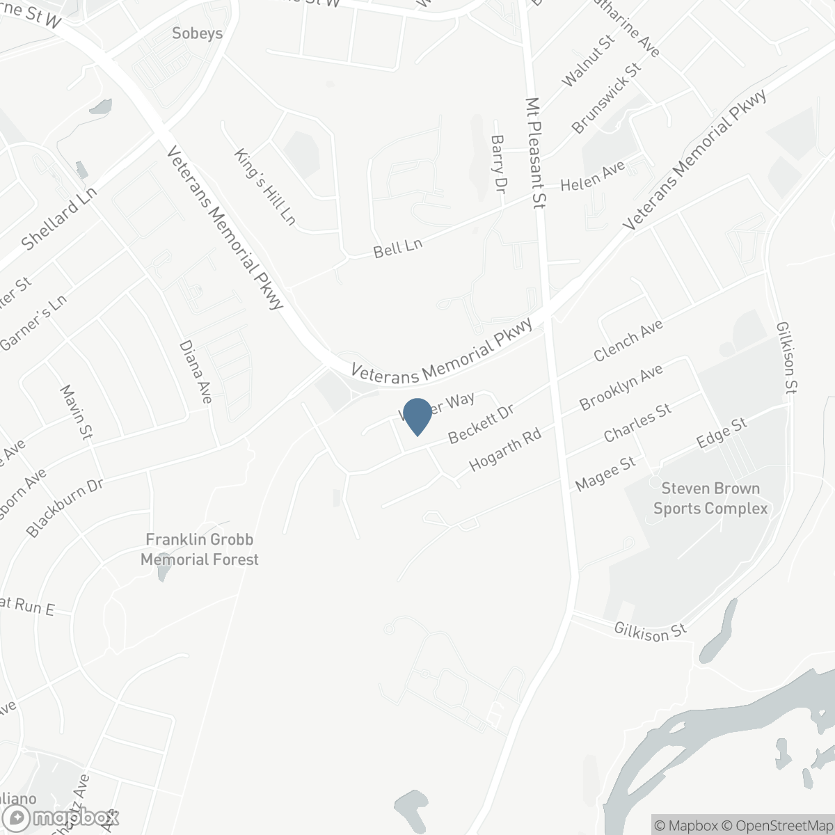 29 WINTER WAY, Brantford, Ontario N3T 6G3